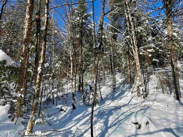 $199,000 | 0 Marshall Newland Road, East Burke, VT 05832