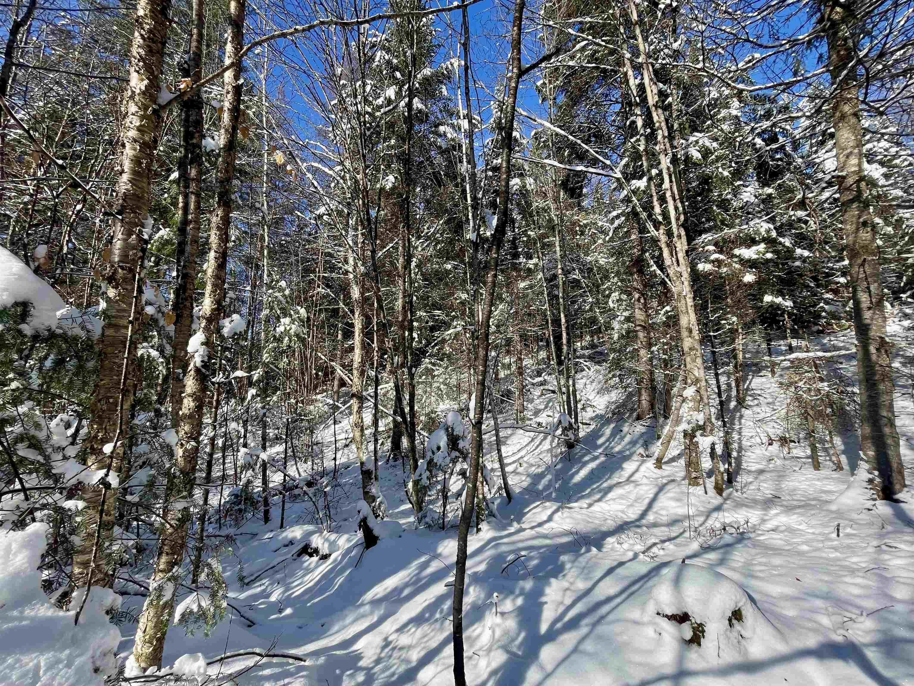 0 Marshall Newland Road East Burke, VT 05832 - Photo 5 of 19