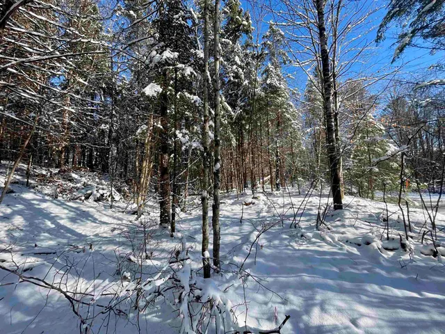 $199,000 | 0 Marshall Newland Road, East Burke, VT 05832