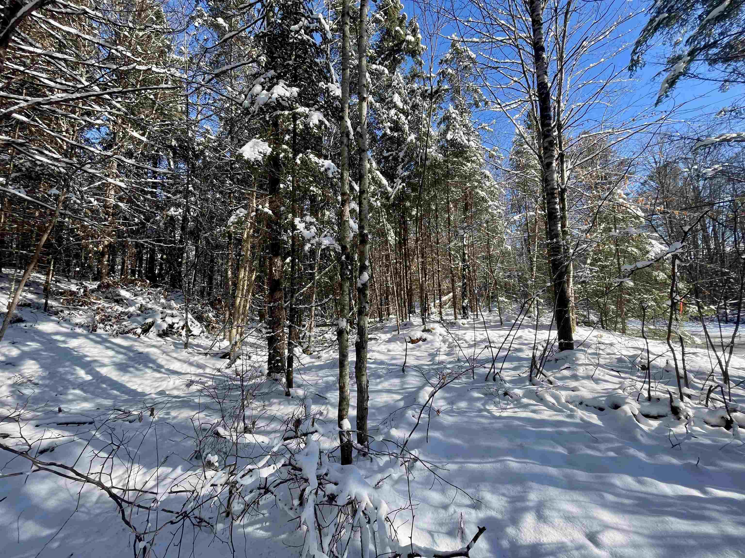 0 Marshall Newland Road East Burke, VT 05832 - Photo 6 of 19