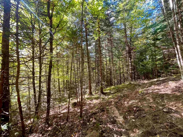 $199,000 | 0 Marshall Newland Road, East Burke, VT 05832