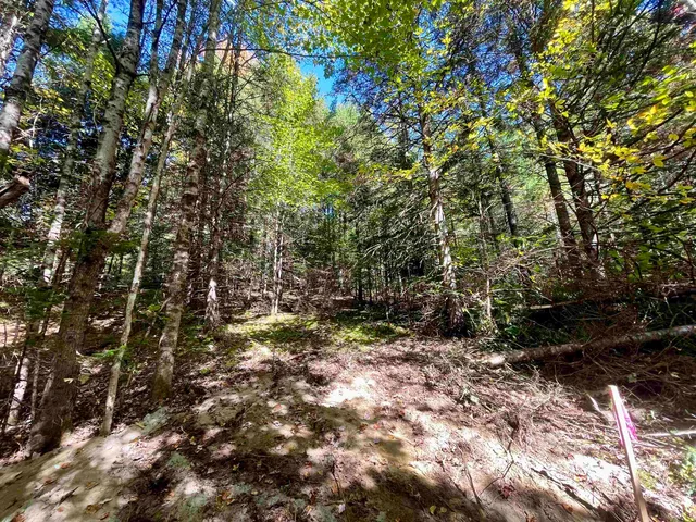 $199,000 | 0 Marshall Newland Road, East Burke, VT 05832