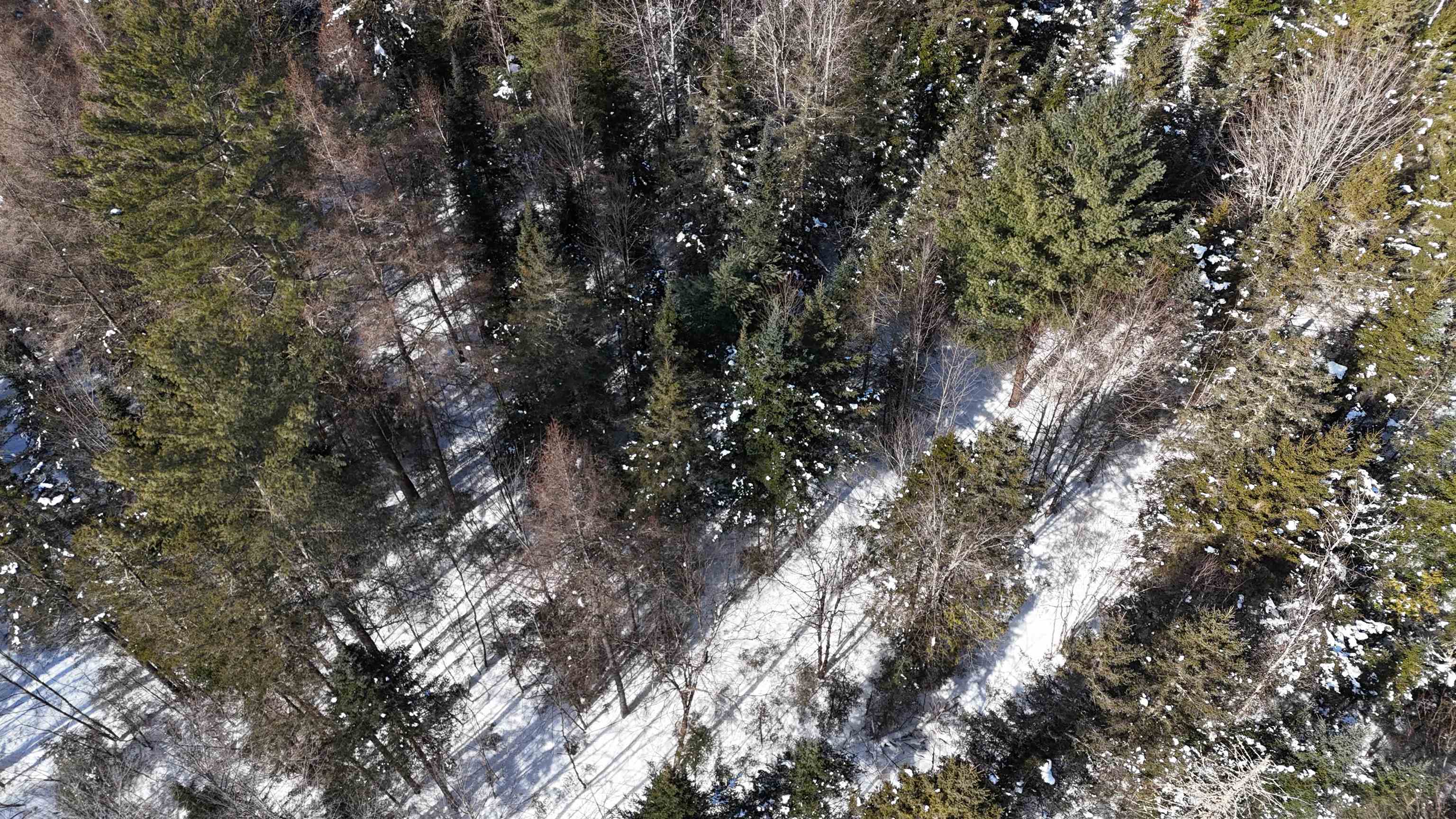 0 Marshall Newland Road East Burke, VT 05832 - Photo 9 of 22