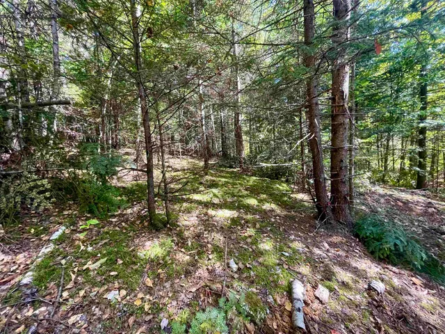 $199,000 | 0 Marshall Newland Road, East Burke, VT 05832