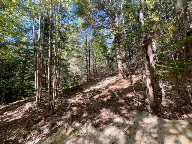 $199,000 | 0 Marshall Newland Road, East Burke, VT 05832