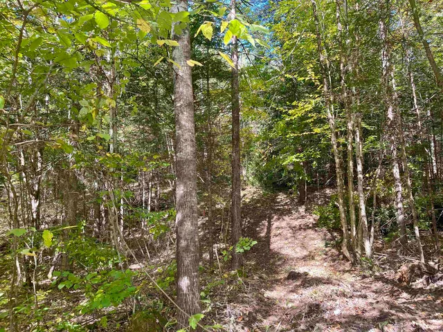 $199,000 | 0 Marshall Newland Road, East Burke, VT 05832