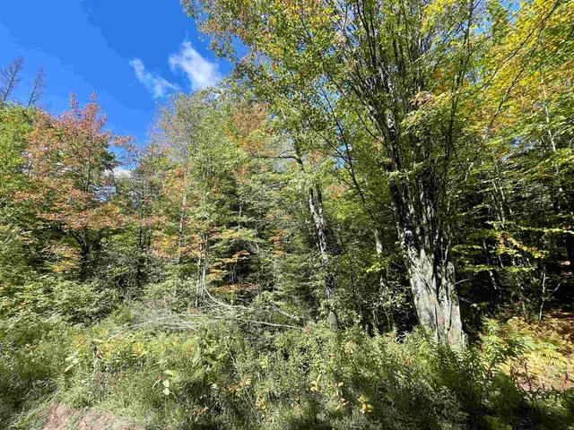 $199,000 | 0 Marshall Newland Road, East Burke, VT 05832