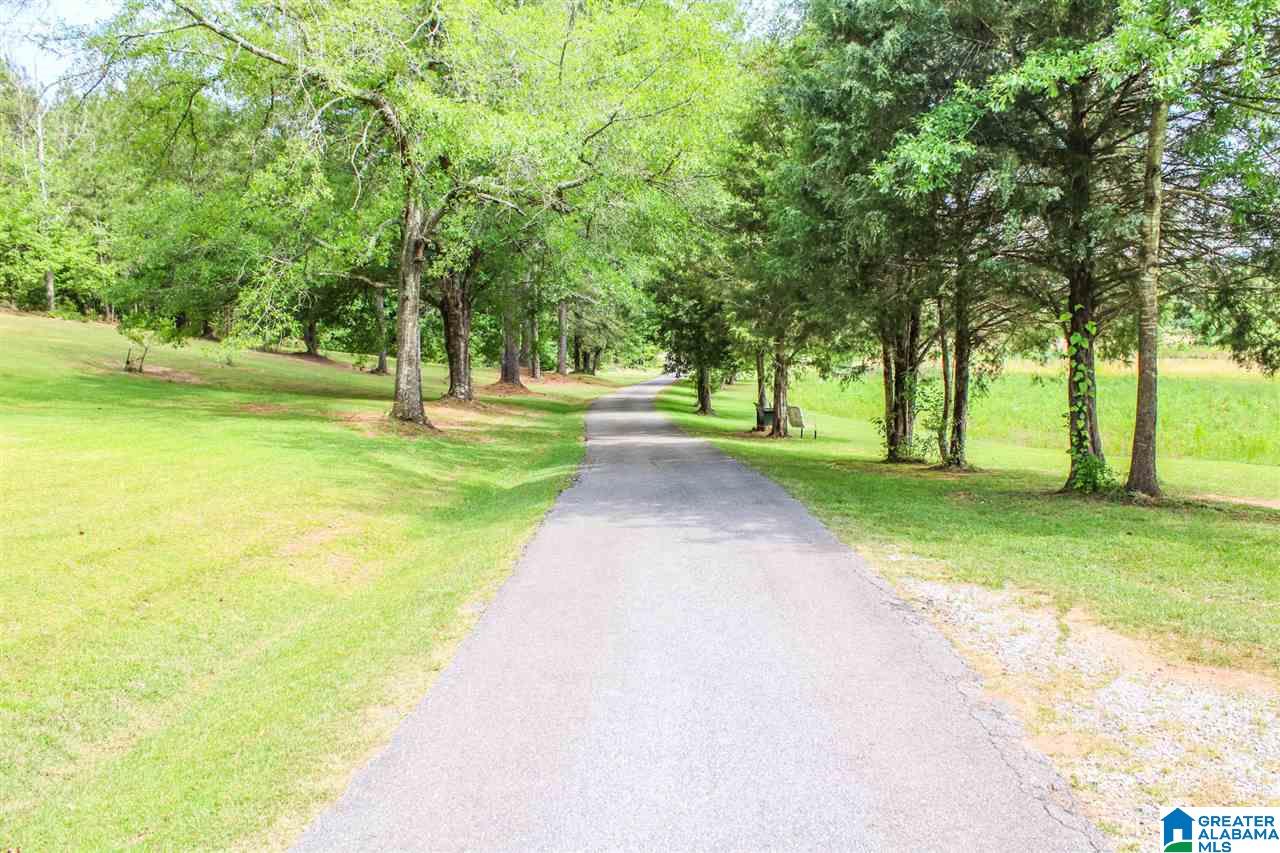 179 New Lincoln Road Talladega, AL 35160 - Photo 45 of 50