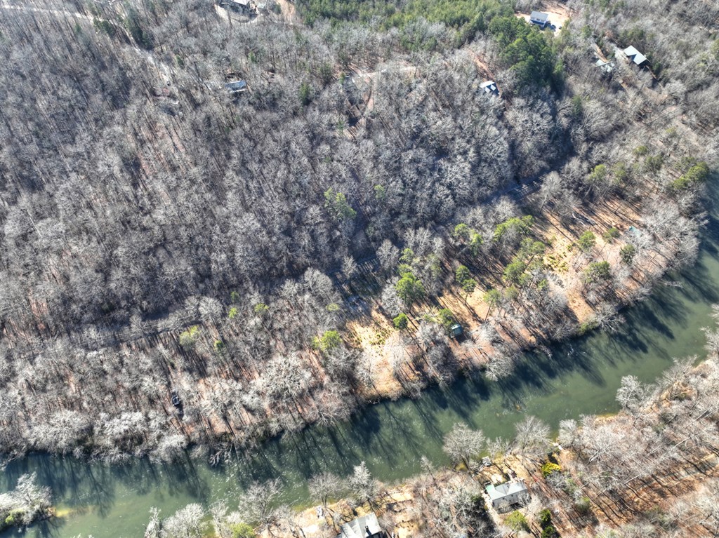 100 Toccoa Hills Road Blue Ridge, GA 30513 - Photo 12 of 40 Gallery Image 12