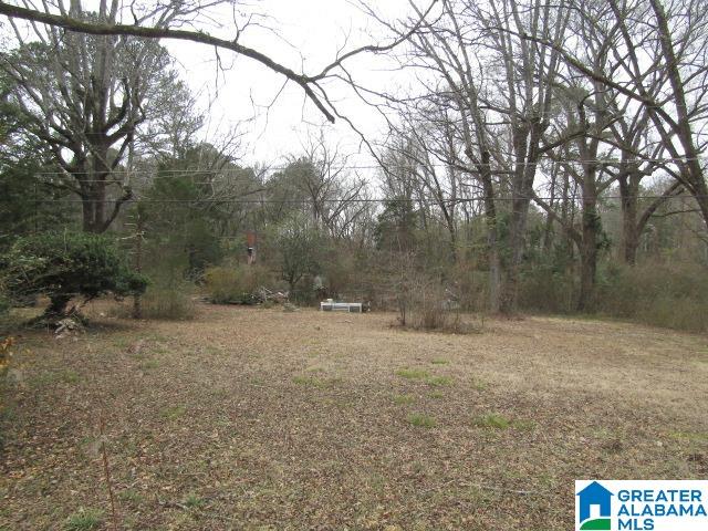253 Old County Rd 109 Anniston, AL 36201 - Photo 2 of 10