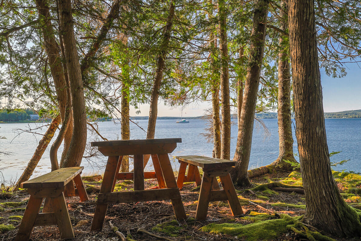 226 Reach Road Deer Isle, ME 04627 - Photo 75 of 119 98-226 Reach Road LoRes-DTP