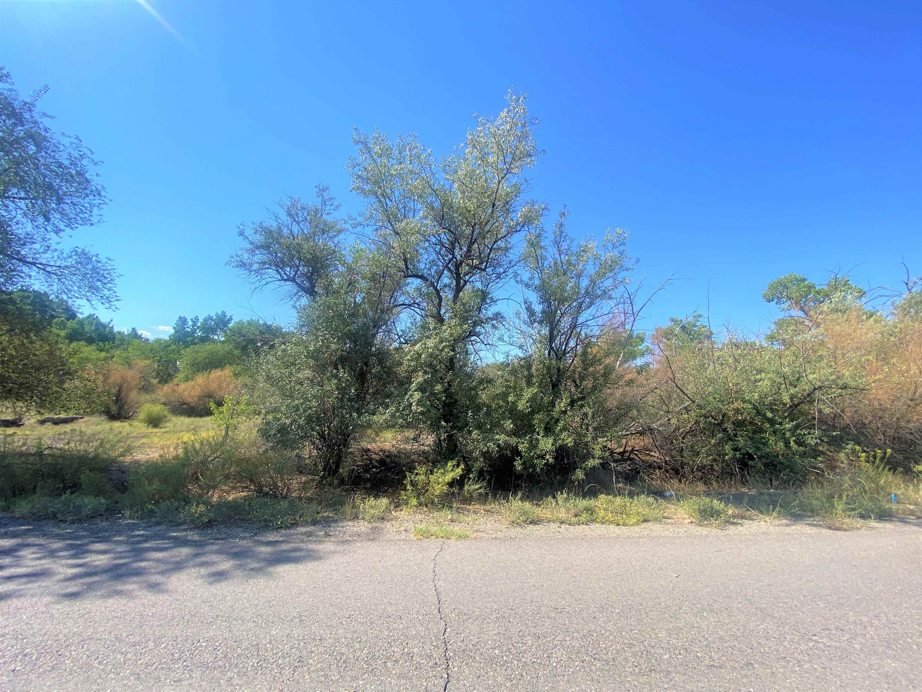 171 Lake Road Grand Junction, CO 81507 - Photo 5 of 11 a view of a yard with a tree