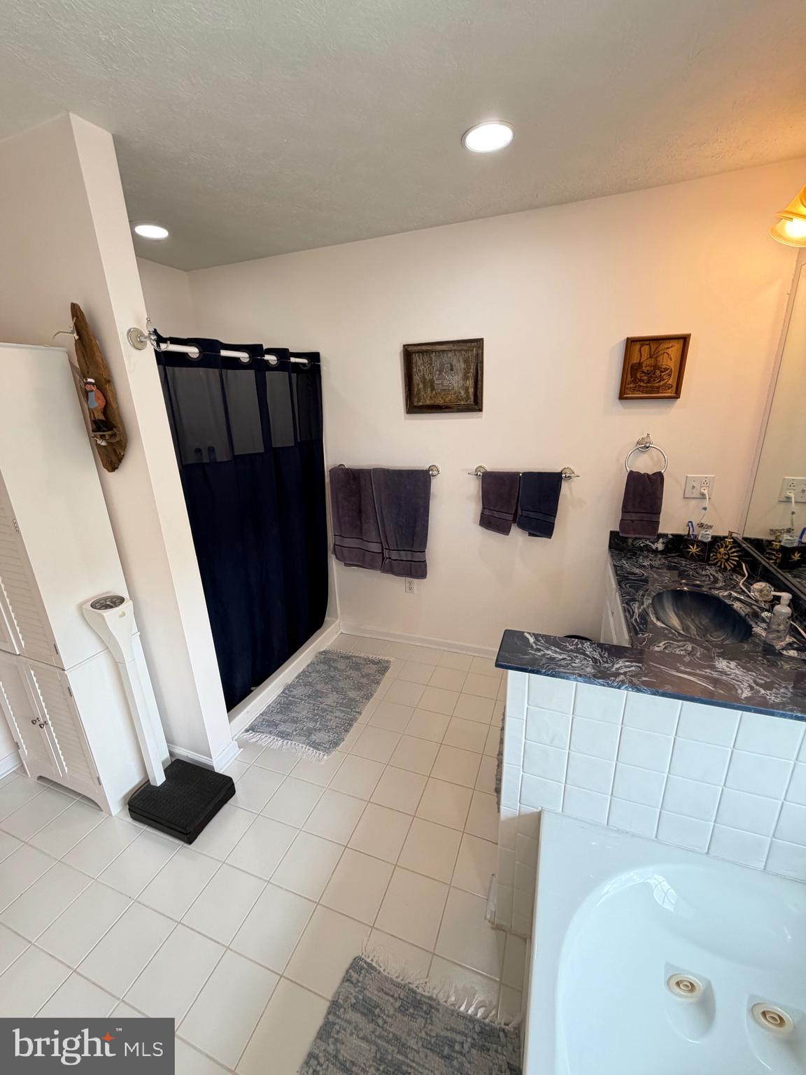 1565 Liberty Street Keyser, WV 26726 - Photo 24 of 95 a bathroom with a sink a toilet and a shower