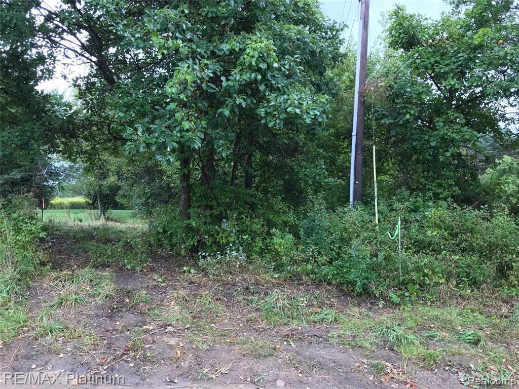 2 Dutcher Road Howell, MI 48843 - Photo 6 of 15