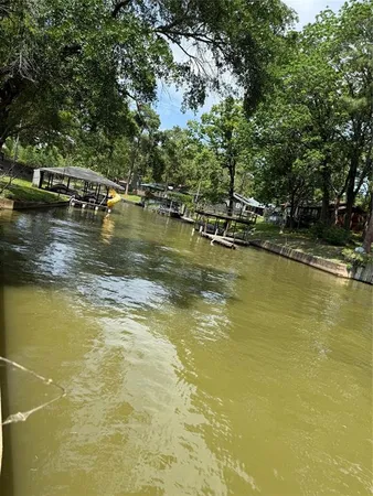 a view of an ocean with trees