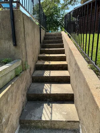 a view of a tree in the middle of a yard