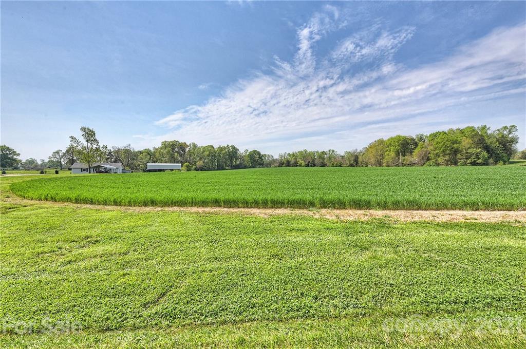 1721 Rock Rest Road Wingate, NC 28174 - Photo 43 of 47 a view of a green field with clear sky