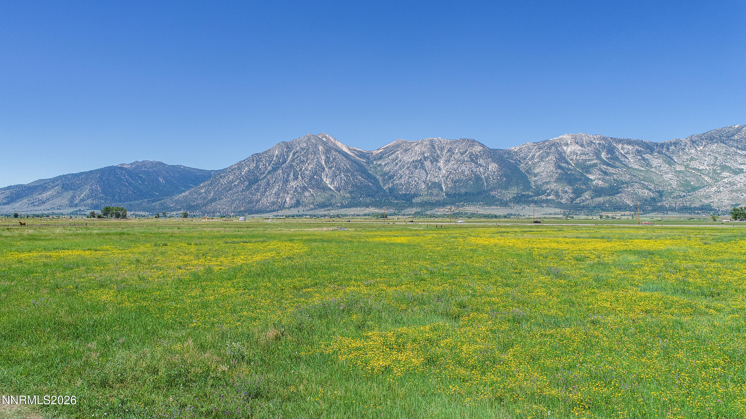 1225 Highway 88 Gardnerville, NV 89460 - Photo 6 of 25 Photo-35