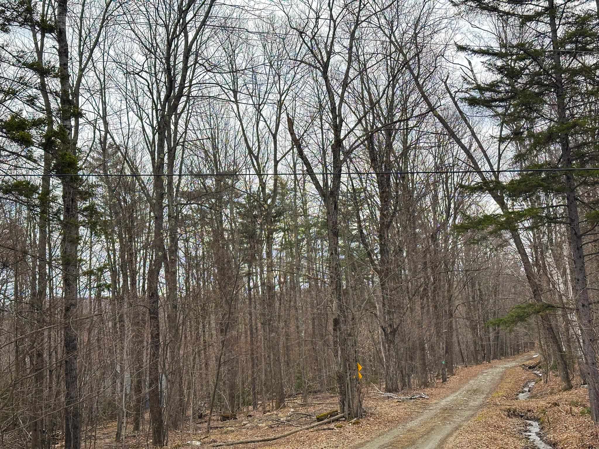 0 Boone Road Andover, VT 05143 - Photo 54 of 60