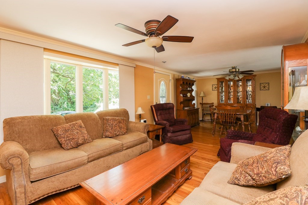 231 Drexel Street Springfield, MA 01104 - Photo 19 of 41 Gallery Image 19
