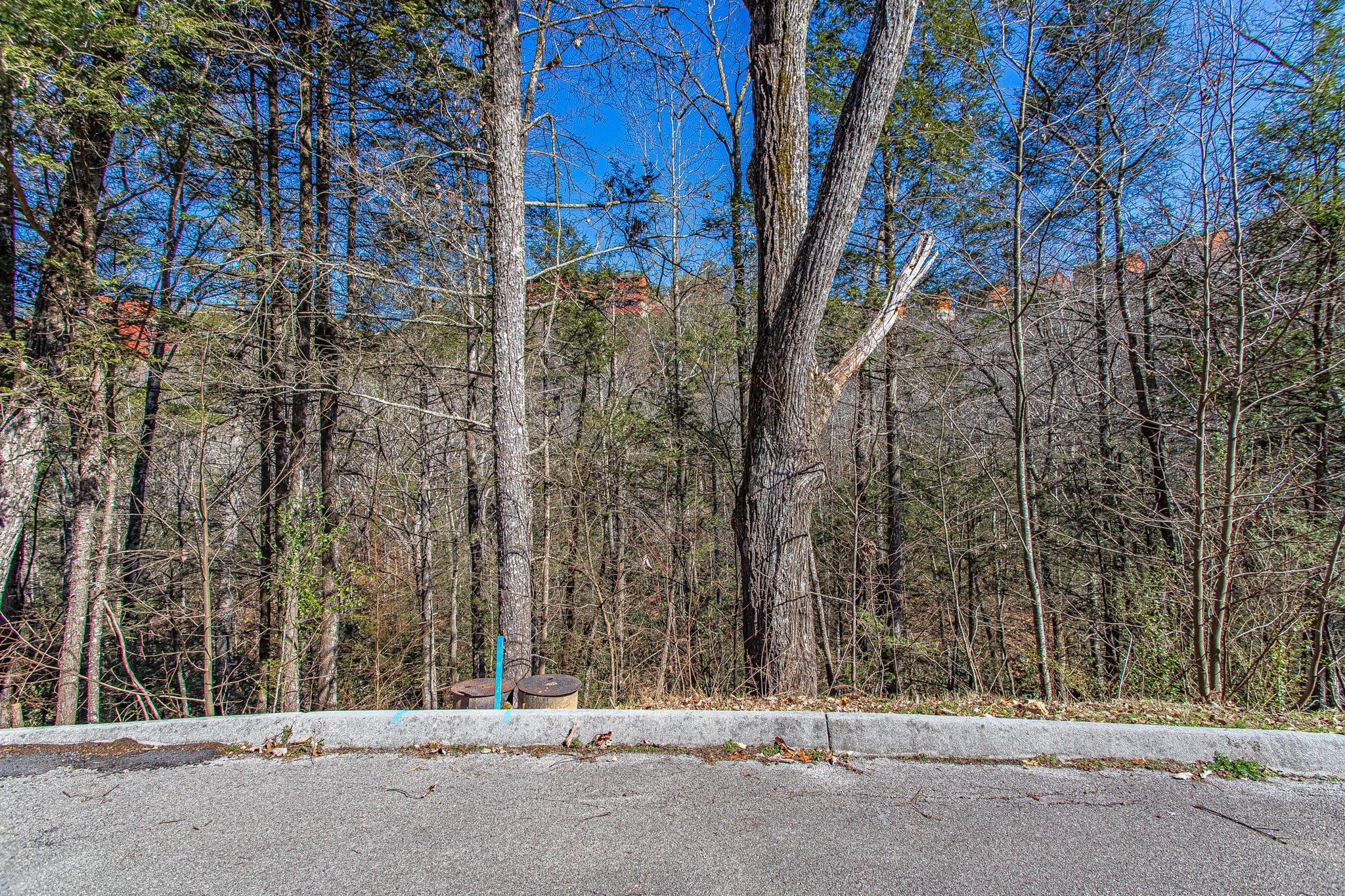 73 Smoky Ridge Way Sevierville, TN 37862 - Photo 1 of 12 not sure