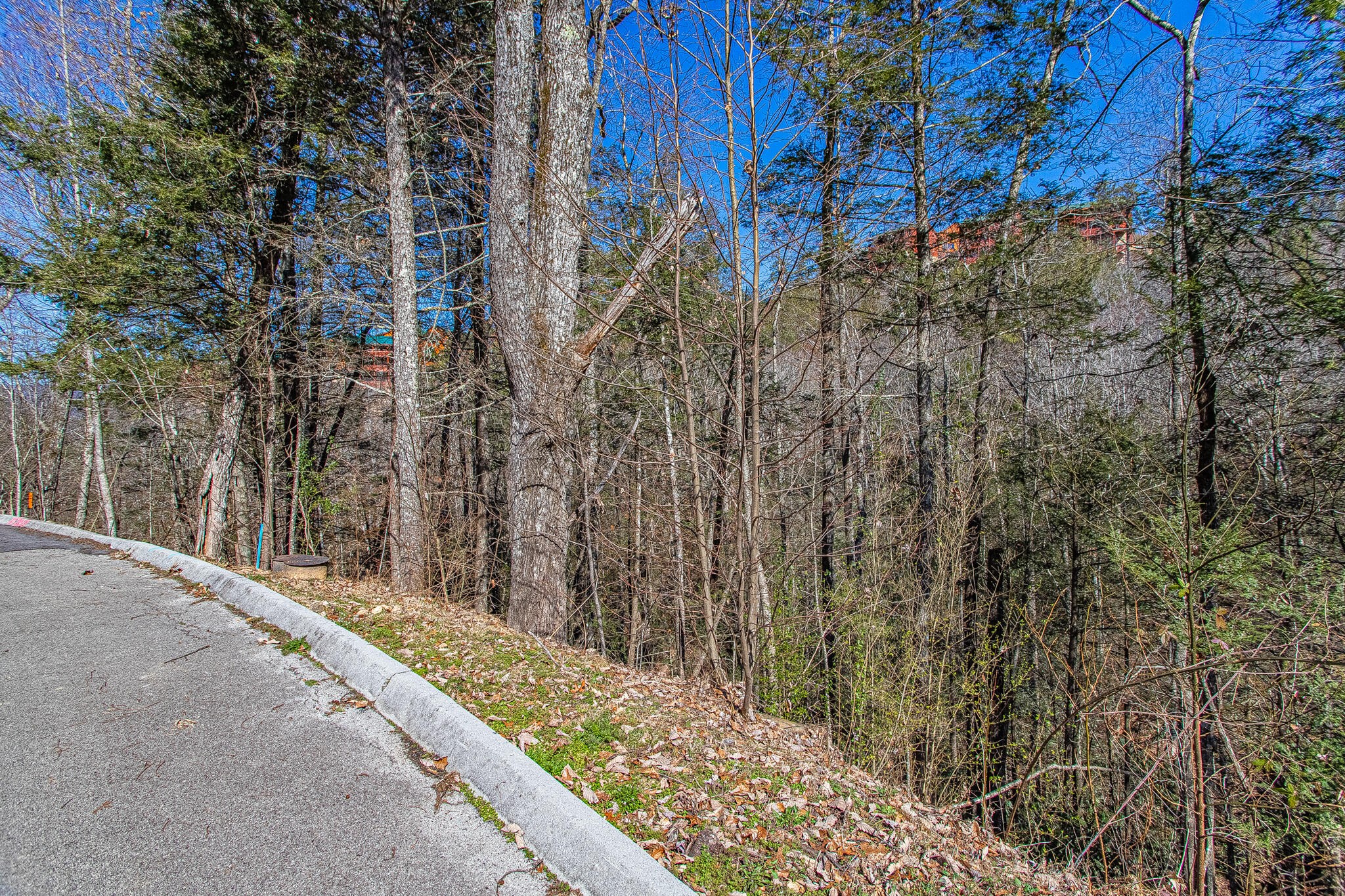 73 Smoky Ridge Way Sevierville, TN 37862 - Photo 12 of 12 a view of a backyard of the house