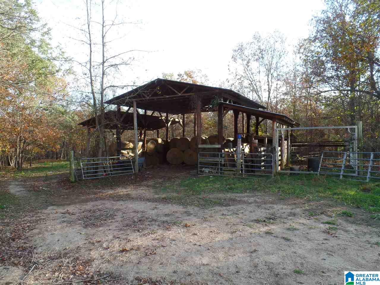 295 Horsley Road Ashville, AL 35953 - Photo 13 of 20