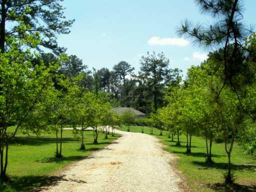 21452 Lowe Davis Road Covington, LA 70435 - Photo 2 of 8 Gallery Image 2