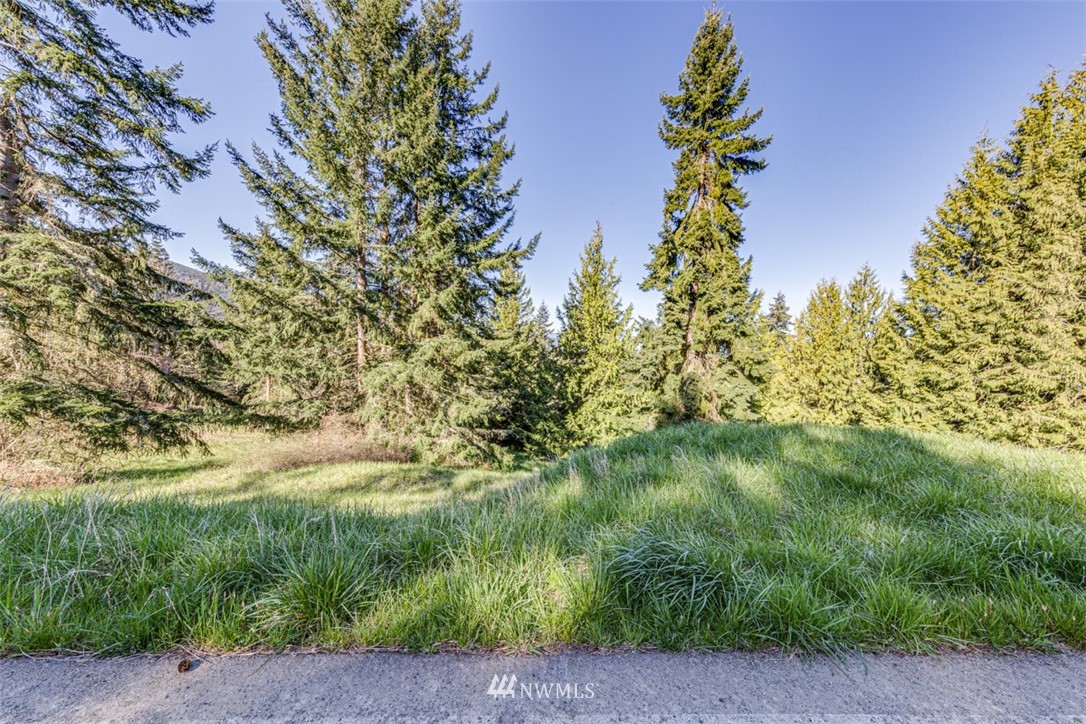 1 Fox Hollow Road Sequim, WA 98382 - Photo 1 of 20
