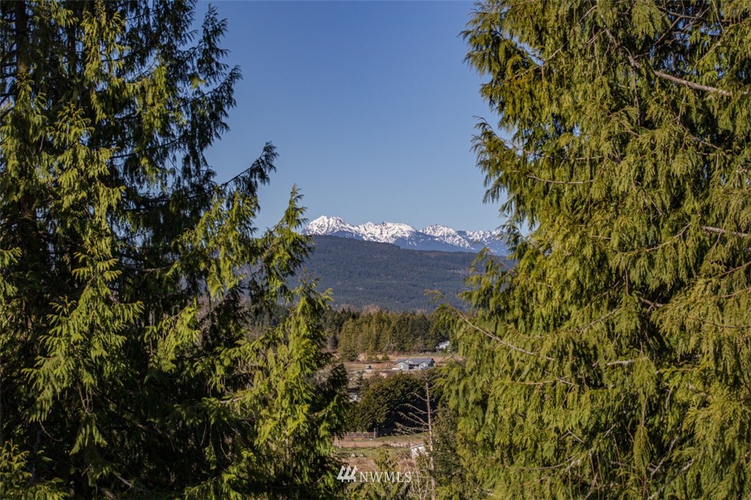 1 Fox Hollow Road Sequim, WA 98382 - Photo 2 of 20 a view of a bunch of trees and bushes