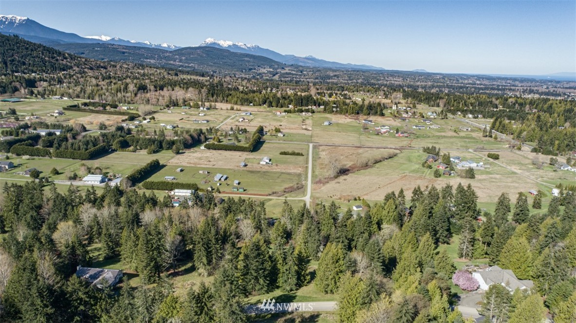 1 Fox Hollow Road Sequim, WA 98382 - Photo 15 of 20 a view of a city