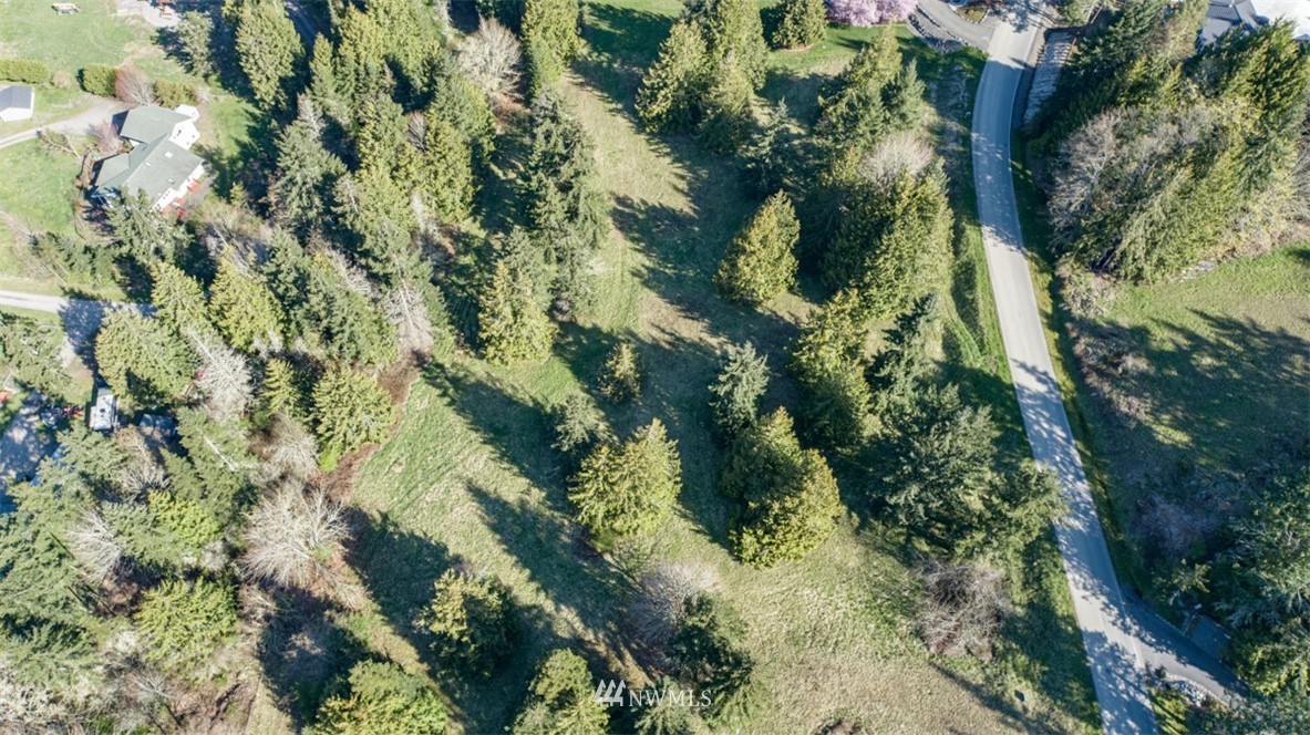 1 Fox Hollow Road Sequim, WA 98382 - Photo 19 of 20 a view of a tree