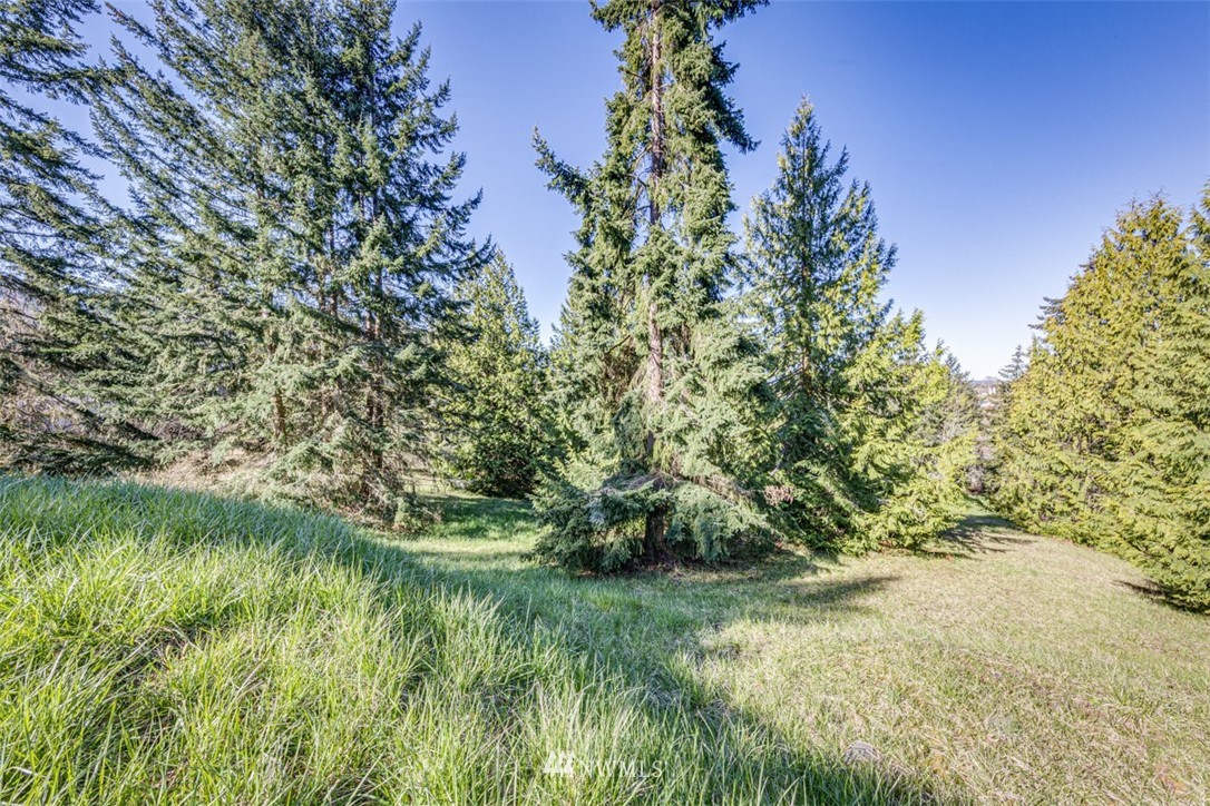1 Fox Hollow Road Sequim, WA 98382 - Photo 4 of 20 a view of a lush green space