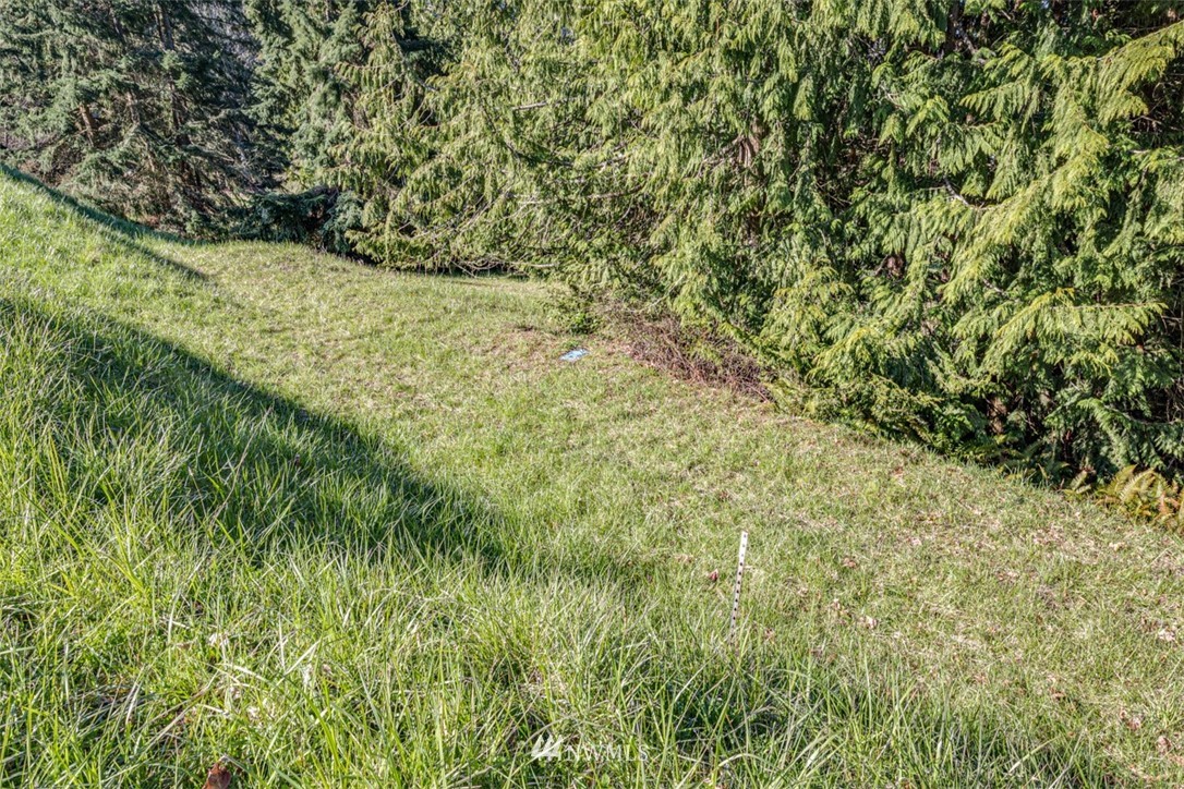1 Fox Hollow Road Sequim, WA 98382 - Photo 5 of 20 a view of a yard
