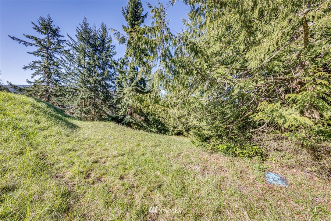 1 Fox Hollow Road Sequim, WA 98382 - Photo 6 of 20 a view of a yard with a tree