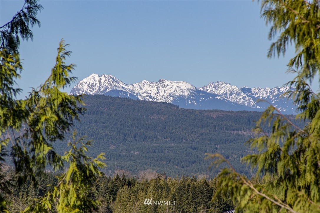 1 Fox Hollow Road Sequim, WA 98382 - Photo 8 of 20