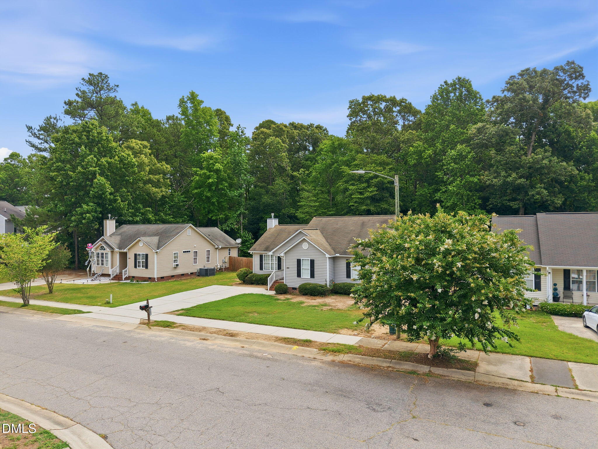 Quiet Street with Wooded Backdrop