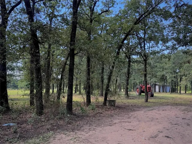 a view of street with trees