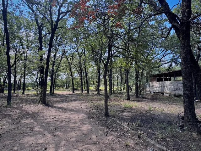 a view of a outdoor space with trees