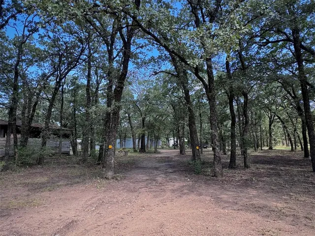 a view of outdoor space with trees