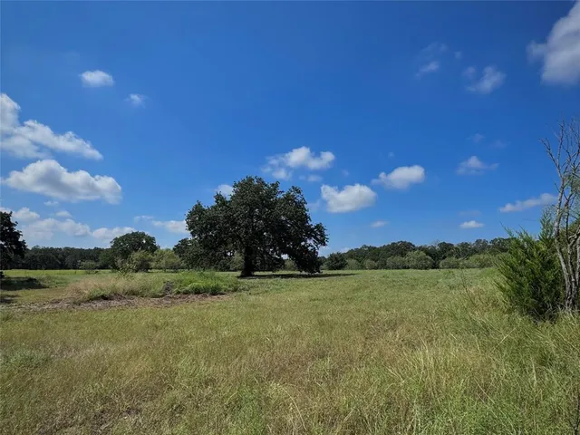 a view of a field with trees in the background