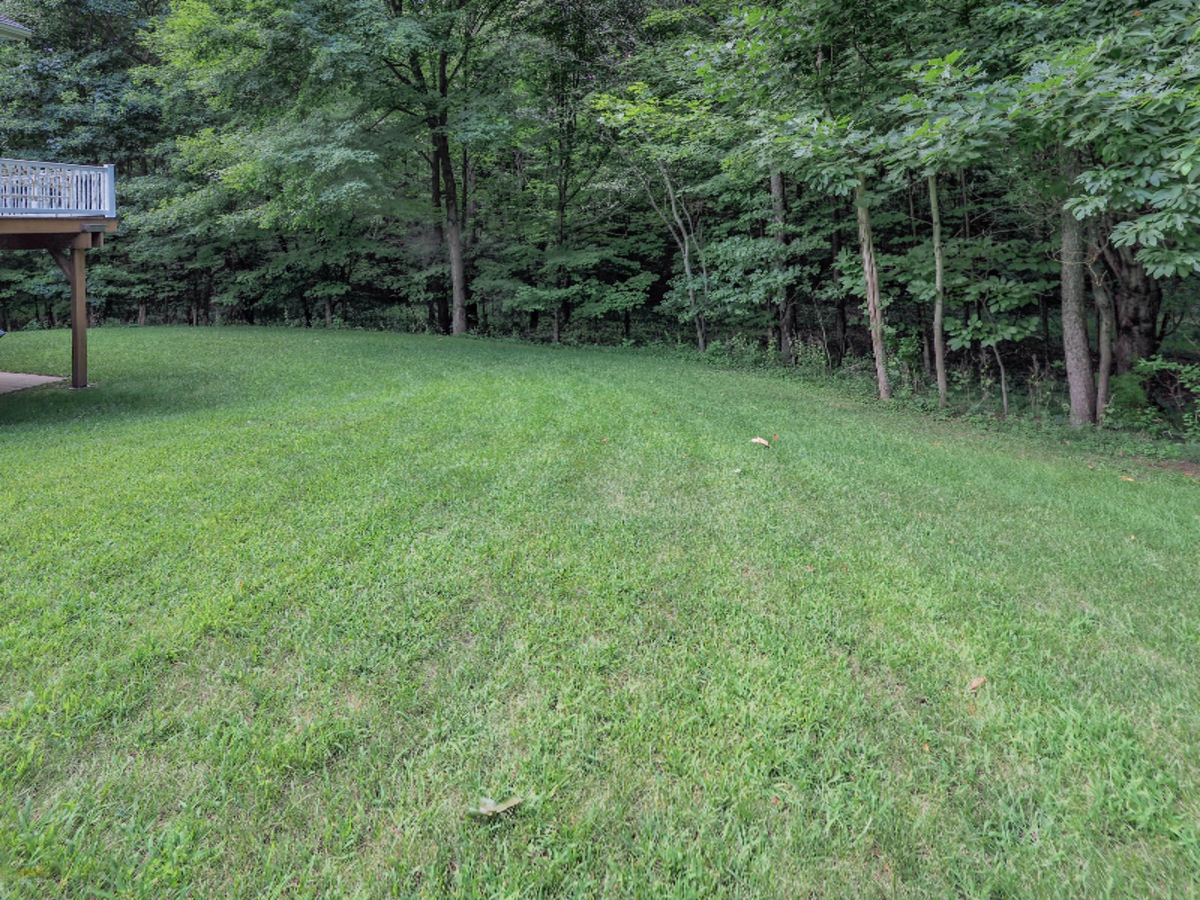 51916 Wetherbee Road Marcellus, MI 49067 - Photo 31 of 35 51916 Wetherbee Rd-128
