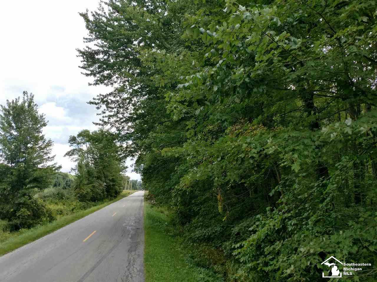 0 Albain Road Petersburg, MI 49270 - Photo 2 of 5