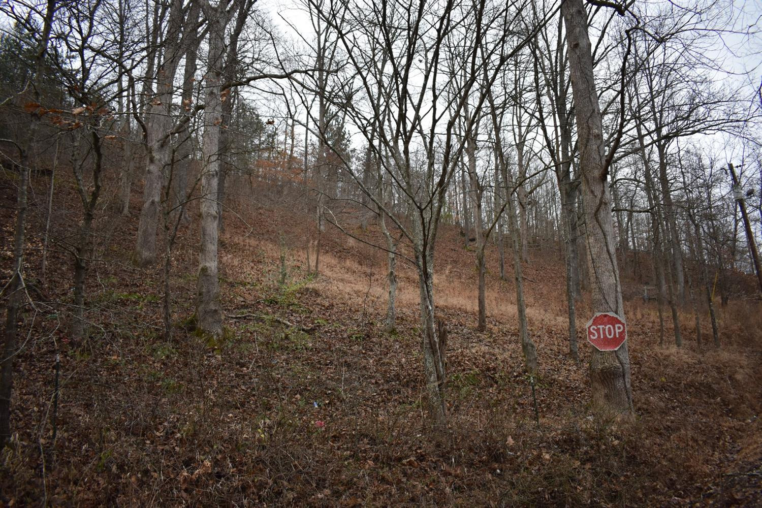 9999 East Crawfish Road Manchester, KY 40962 - Photo 35 of 52 Photo 35