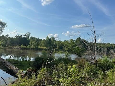 0 County Road 70 Road Ariton, AL 36311 - Photo 10 of 23 Gallery Image 10