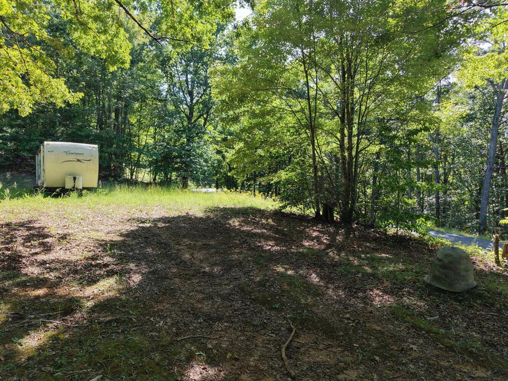 2 Blue Ridge Blue Ridge, GA 30513 - Photo 12 of 30