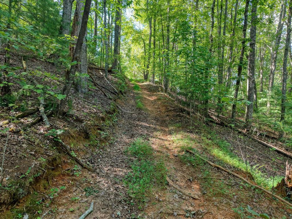 2 Blue Ridge Blue Ridge, GA 30513 - Photo 18 of 30