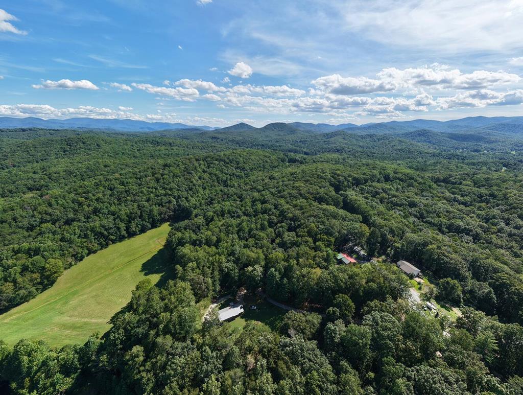 2 Blue Ridge Blue Ridge, GA 30513 - Photo 23 of 30