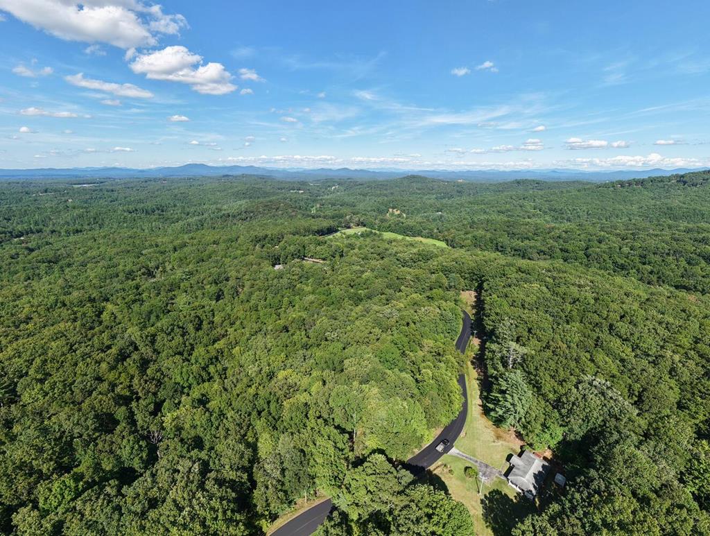 2 Blue Ridge Blue Ridge, GA 30513 - Photo 28 of 30