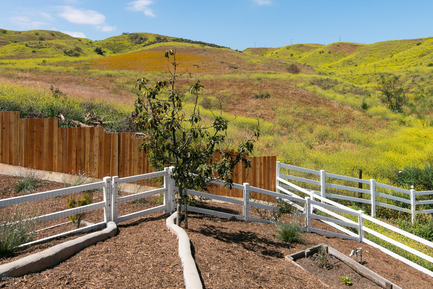 4775 Foothill Road Ventura, CA 93003 - Photo 54 of 69 4775 Foothill Rd-MLS_Size-061-34-Hillsid